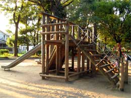 �C���[�W�ʐ^3